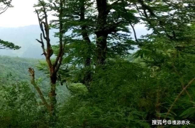亚马尔油田位于俄罗斯哪个共和国的